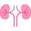 Nephrology